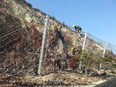 RX菱形被動防護網